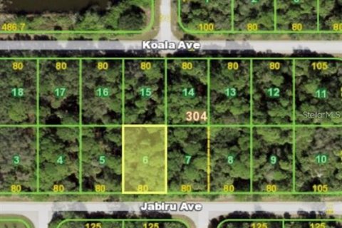 Land in Port Charlotte, Florida № 2161780 - photo 4