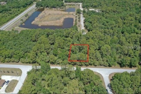 Land in Port Charlotte, Florida № 2161780 - photo 2