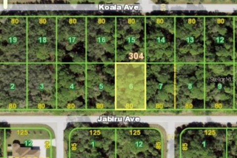 Land in Port Charlotte, Florida № 2161780 - photo 5