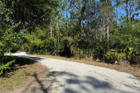 Land in North Fort Myers, Florida № 2163565 - photo 3
