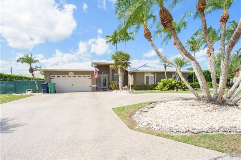 Villa ou maison à vendre à Homestead, Floride: 4 chambres, 220.55 m2 № 1745824 - photo 1