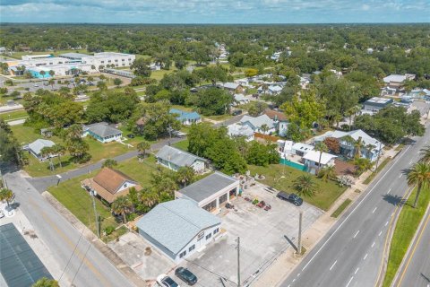 Купить коммерческую недвижимость в Нью-Смирна-Бич, Флорида 269.04м2, № 2219179 - фото 21