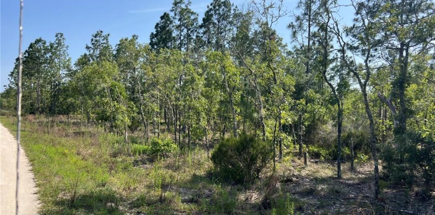 Land in Williston, Florida № 1736717