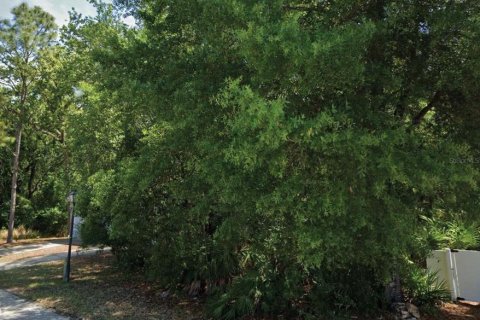 Land in Homosassa, Florida № 2163520