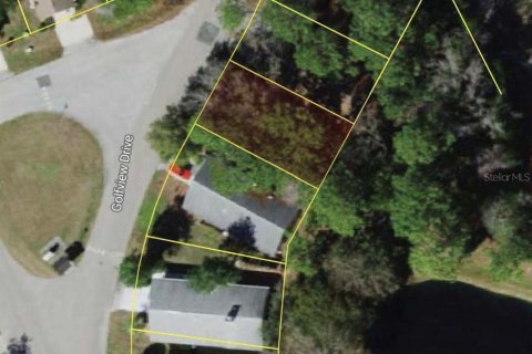Land in Homosassa, Florida № 2163520 - photo 2