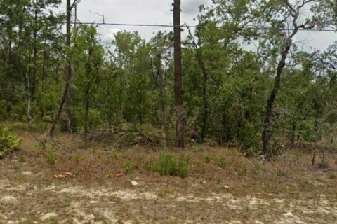 Terreno en Citrus Springs, Florida № 2165243