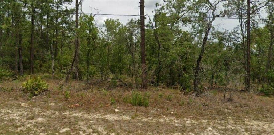 Terreno en Citrus Springs, Florida № 2165243