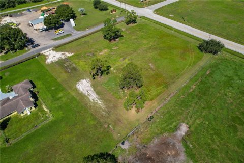 Land in Sebring, Florida № 2391391 - photo 8