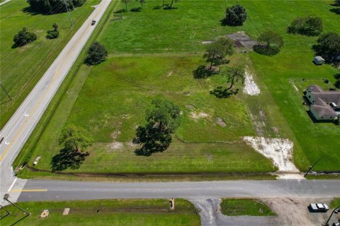 Land in Sebring, Florida № 2391391 - photo 5