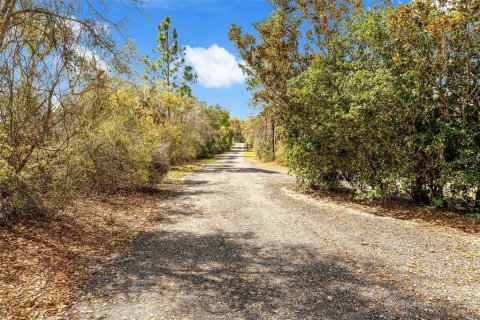 Villa ou maison à vendre à Osteen, Floride: 4 chambres, 289.11 m2 № 2139464 - photo 28