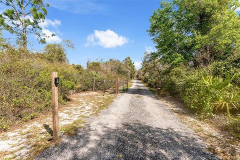 Villa ou maison à vendre à Osteen, Floride: 4 chambres, 289.11 m2 № 2139464 - photo 29