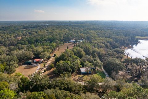 Land in Brooksville, Florida № 1780971 - photo 2