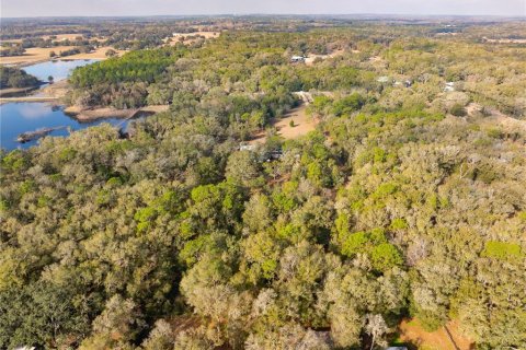 Land in Brooksville, Florida № 1780971 - photo 4