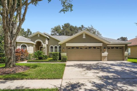 House in Fish Hawk, Florida 5 bedrooms, 309.18 sq.m. № 1909486 - photo 1