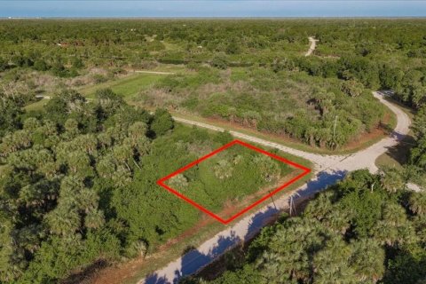 Land in North Port, Florida № 2165628 - photo 3