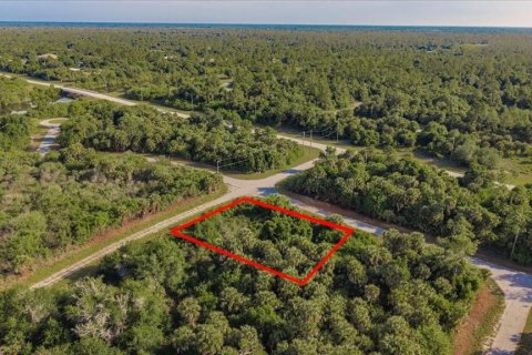 Land in North Port, Florida № 2165628 - photo 4