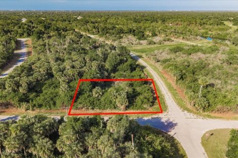 Land in North Port, Florida № 2165628 - photo 2
