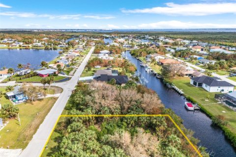 Land in Port Charlotte, Florida № 1819793 - photo 1