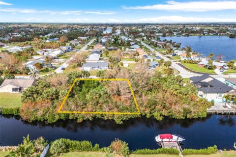 Land in Port Charlotte, Florida № 1819793 - photo 6