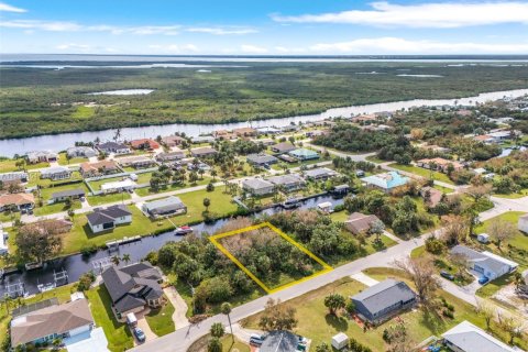 Land in Port Charlotte, Florida № 1819793 - photo 4