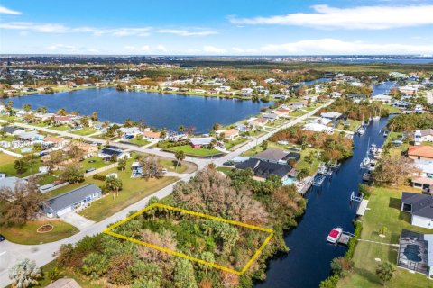Land in Port Charlotte, Florida № 1819793 - photo 2