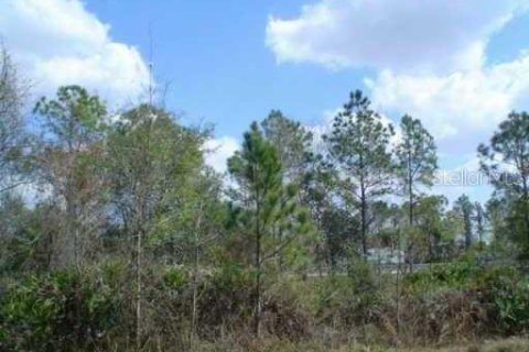 Terrain à vendre à Zephyrhills, Floride № 212764 - photo 3