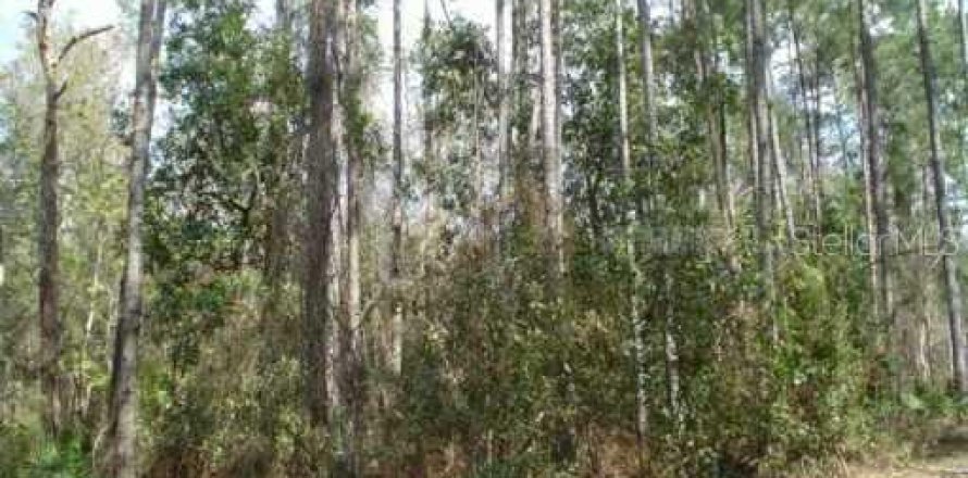 Terrain à Zephyrhills, Floride № 212764
