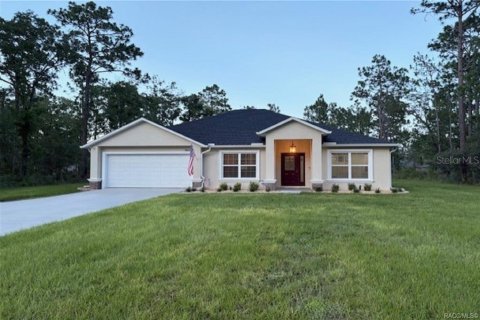 House in Weeki Wachee, Florida 3 bedrooms, 167.78 sq.m. № 1818996 - photo 1
