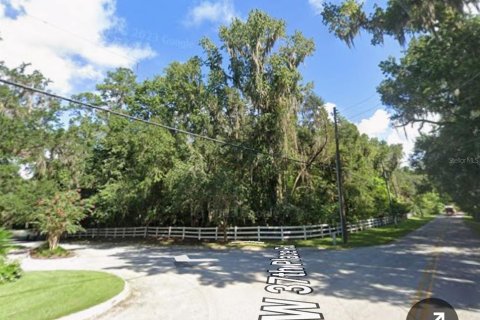 Terrain à vendre à Ocala, Floride № 1866475 - photo 6