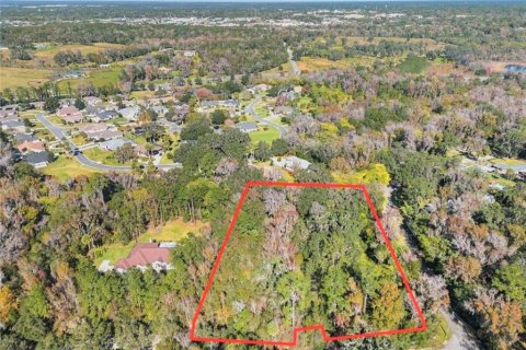 Terrain à vendre à Ocala, Floride № 1866475 - photo 4