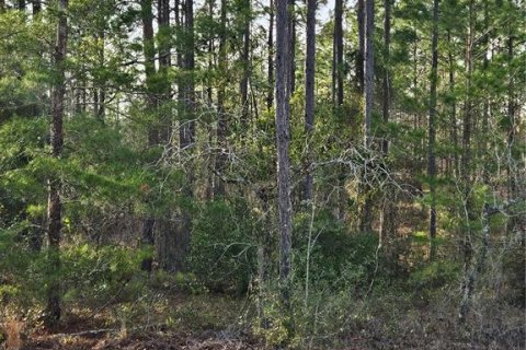 Terrain à vendre à Dunnellon, Floride № 1536308 - photo 4