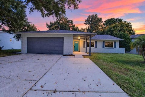 House in Brandon, Florida 4 bedrooms, 193.24 sq.m. № 2419343