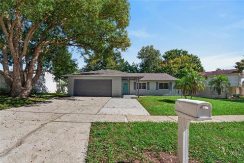 House in Brandon, Florida 4 bedrooms, 193.24 sq.m. № 2419343 - photo 3