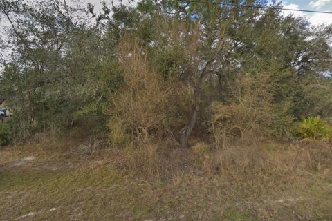Land in Weeki Wachee, Florida № 2158964