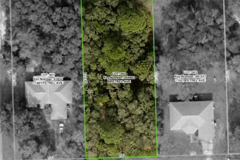 Land in Weeki Wachee, Florida № 2158964 - photo 2