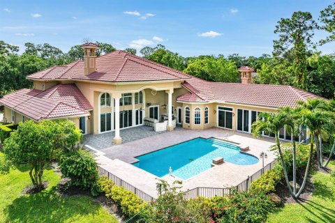 Villa ou maison à vendre à Parkland, Floride: 7 chambres, 708.01 m2 № 2147226 - photo 6