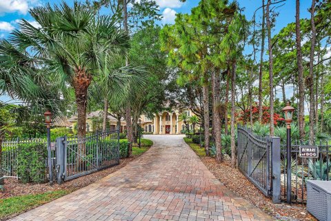 Villa ou maison à Parkland, Floride 7 chambres, 708.01 m2 № 2147226