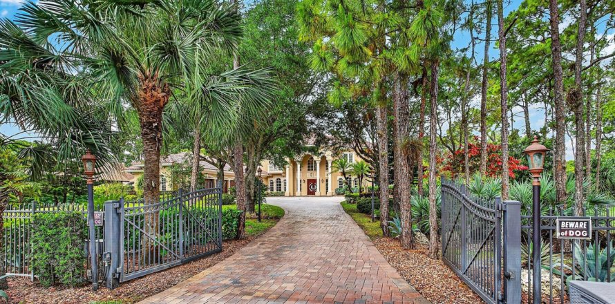 Villa ou maison à Parkland, Floride 7 chambres, 708.01 m2 № 2147226