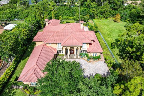 Villa ou maison à vendre à Parkland, Floride: 7 chambres, 708.01 m2 № 2147226 - photo 4