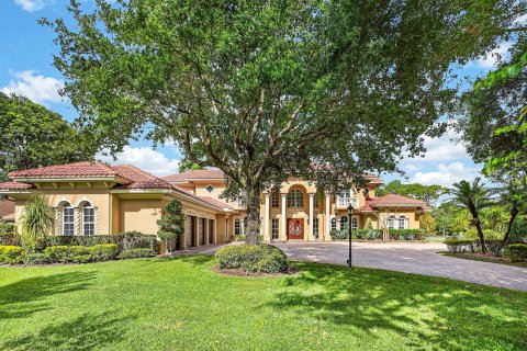 Villa ou maison à vendre à Parkland, Floride: 7 chambres, 708.01 m2 № 2147226 - photo 5
