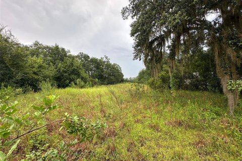 Land in Christmas, Florida № 1847145 - photo 7