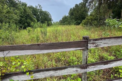 Land in Christmas, Florida № 1847145 - photo 10