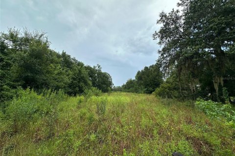 Land in Christmas, Florida № 1847145 - photo 8
