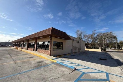 Immobilier commercial à vendre à Daytona Beach, Floride: 1170.57 m2 № 2128305 - photo 2