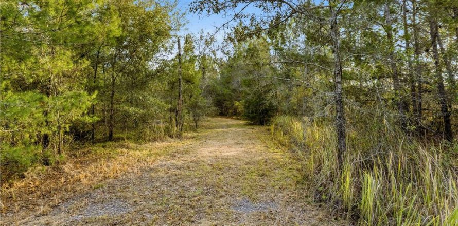 Terrain à Brooksville, Floride № 2213410