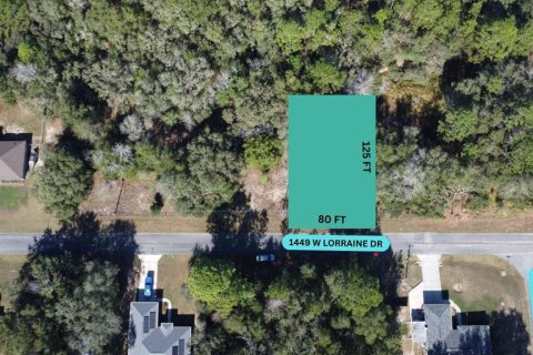 Land in Citrus Springs, Florida № 2228996