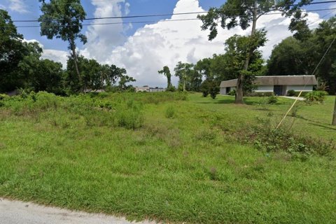 Terrain à vendre à Apopka, Floride № 2232959 - photo 10
