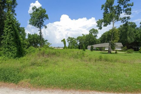 Terrain à Apopka, Floride № 2232959