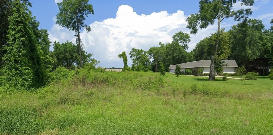 Terrain à Apopka, Floride № 2232959