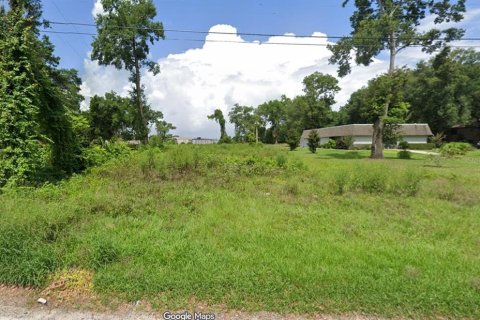 Terrain à vendre à Apopka, Floride № 2232959 - photo 3